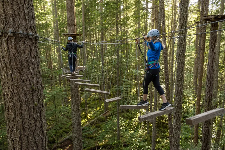 Parcours sur cordes dans les arbres de la montagne