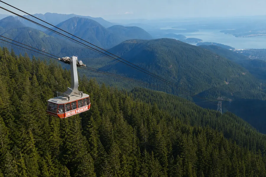 Téléphérique Red Skyride au-dessus de la forêt